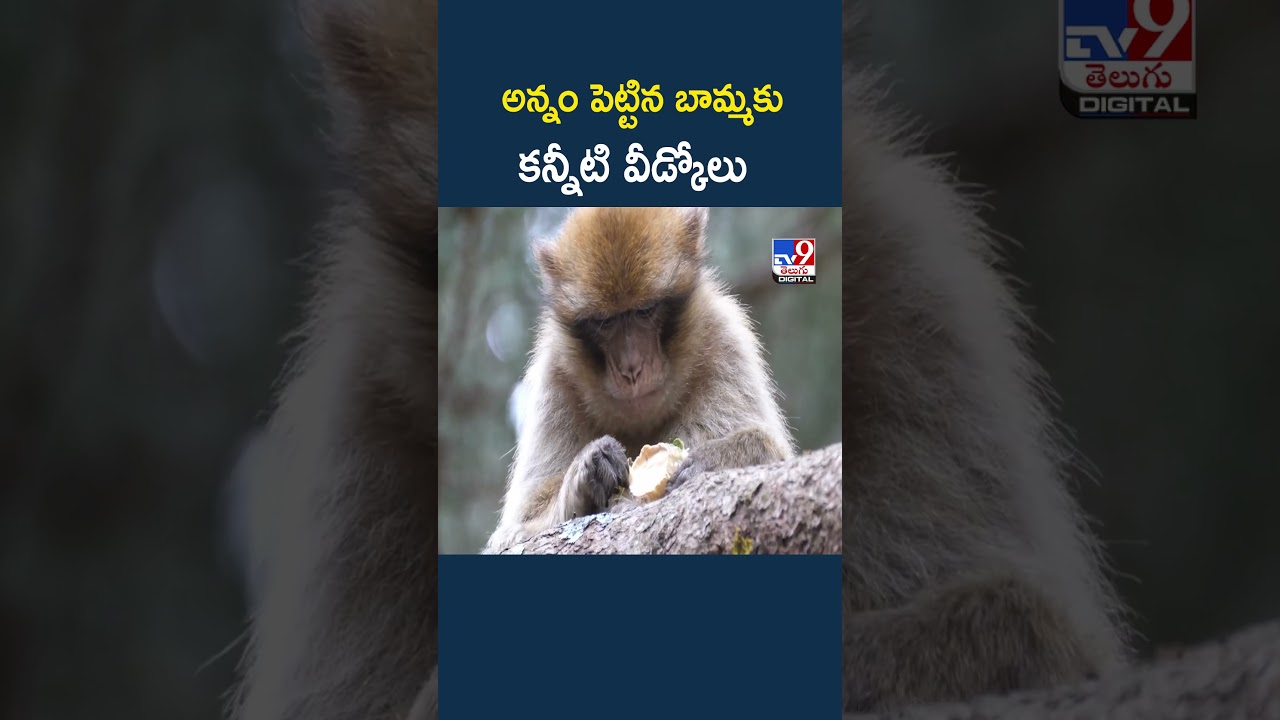 Karnataka | అన్నం పెట్టిన బామ్మకు కన్నీటి వీడ్కోలు - TV9