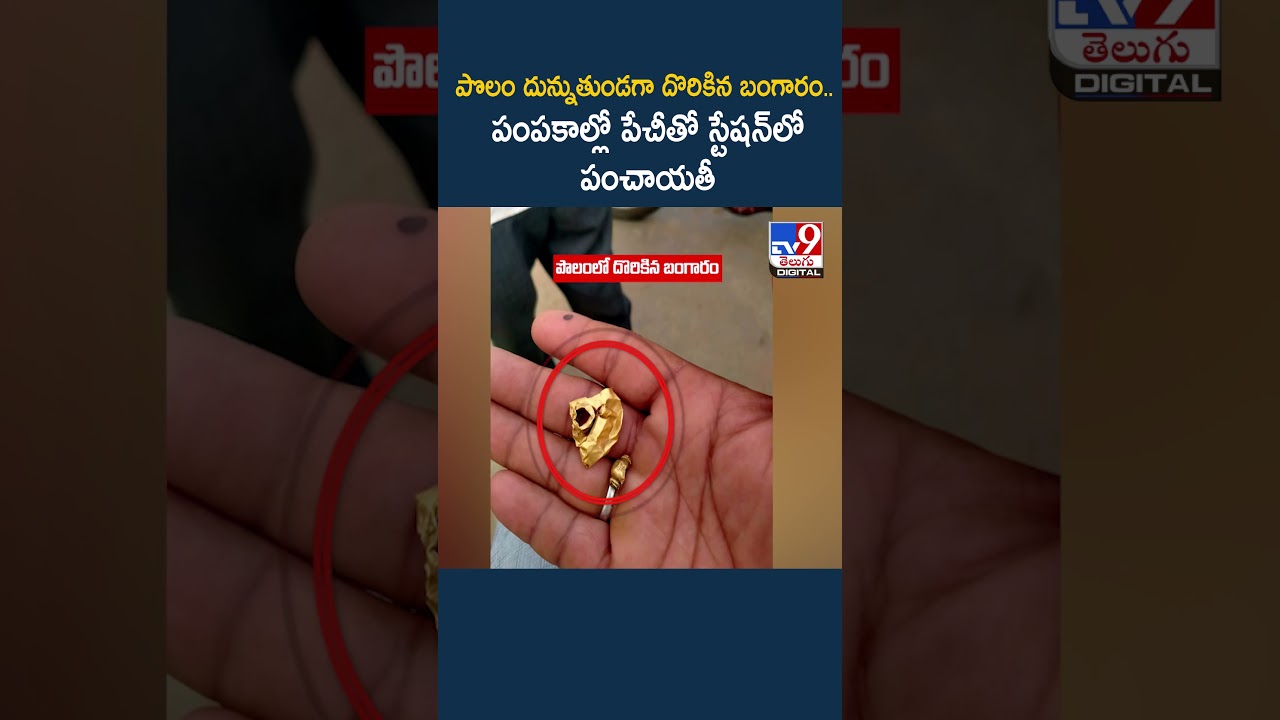 Warangal : పొలం దున్నుతుండగా దొరికిన బంగారం.. పంపకాల్లో పేచీతో స్టేషన్‌లో పంచాయతీ - TV9