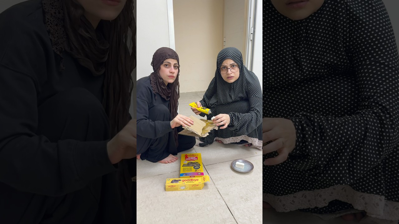 لحظة غدر😂😂 ام سيف ونانو