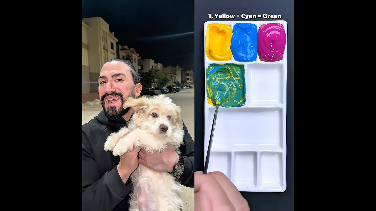 اشترى كلب لولو علشان 😉 #اكسبلور #كلاب #مصطفى_اشرف