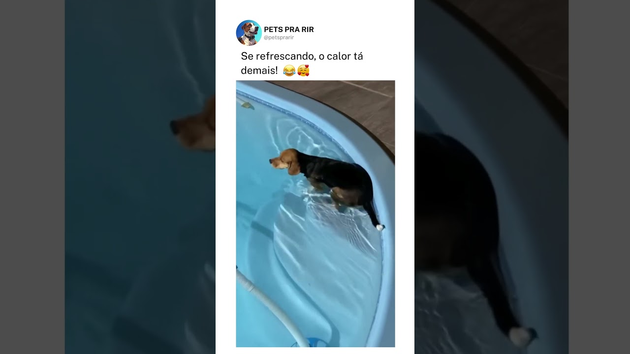 Se refrescando, o calor tá demais!❤️🤯