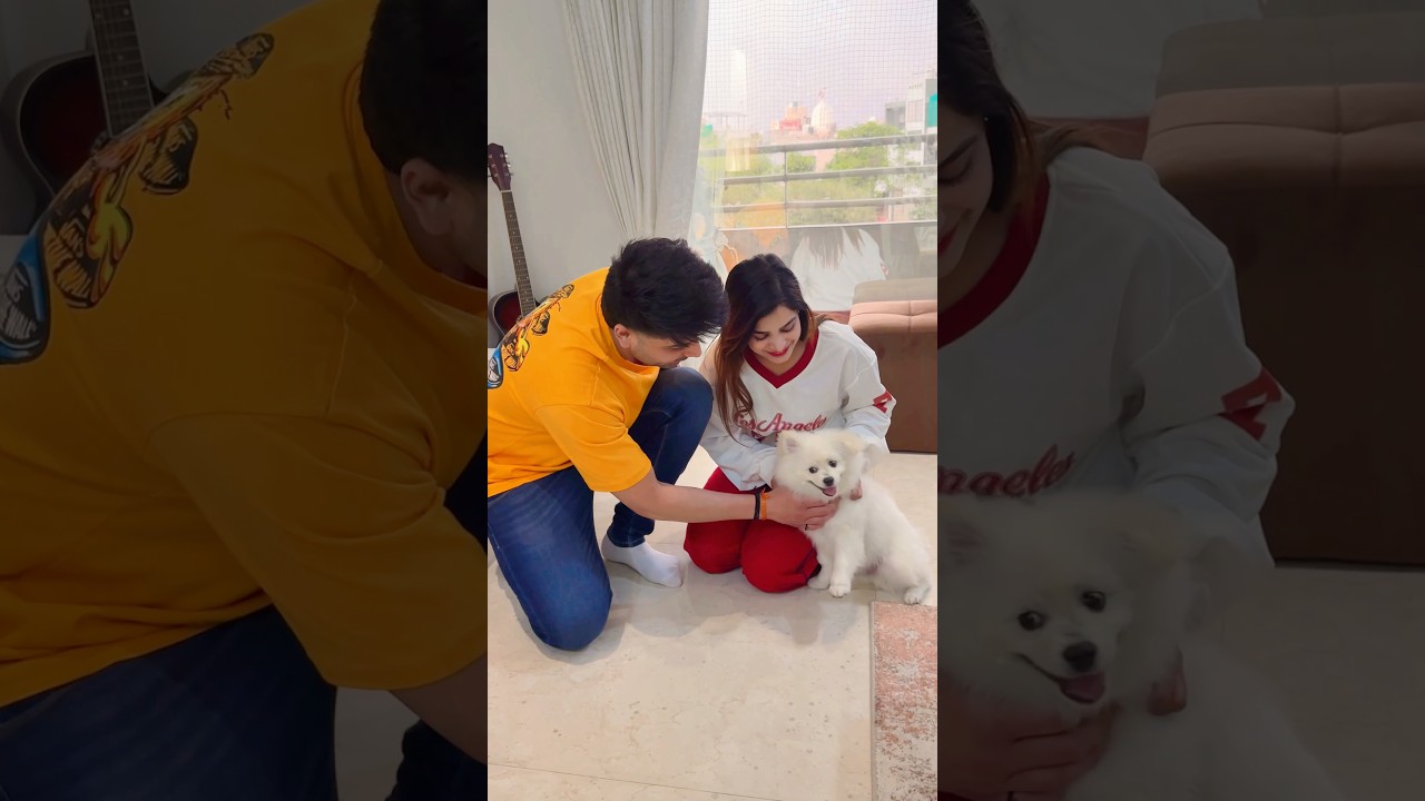 PART 1 ❤️Pogo ki aayi Girlfriend😍 #youtubeshorts #cutedog #hearttouching