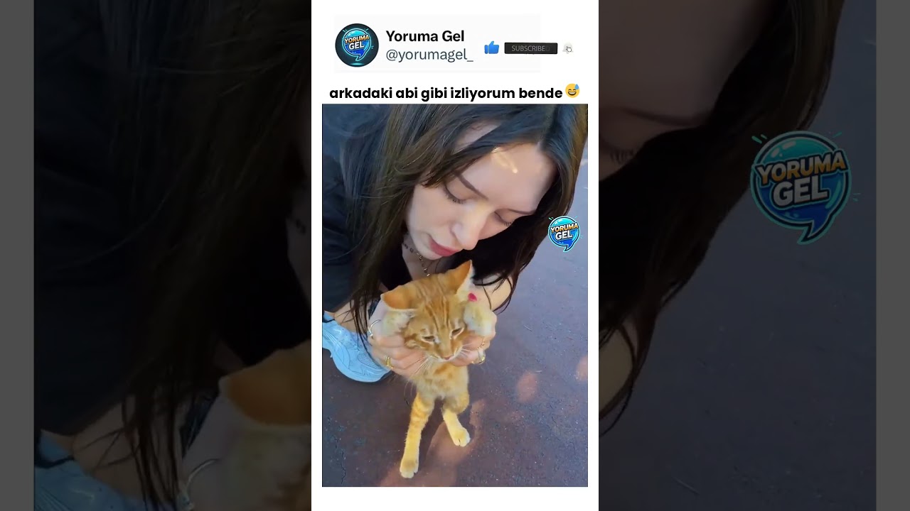 kedi kendini ayıcık sandı 😅