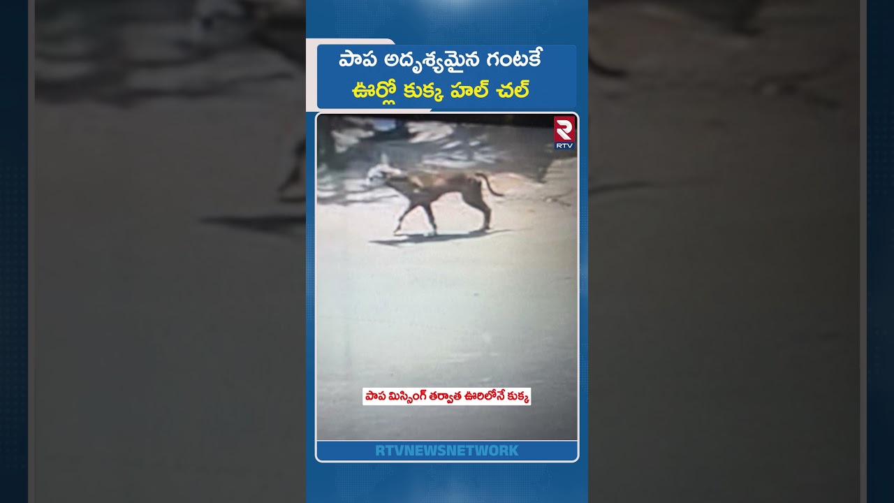 పాప అదృశ్యమైన గంటకే ఊర్లో కుక్క హల్ చల్ | Kakinada 3 Years Girl Missing Case Twist | Pet Dog | RTV