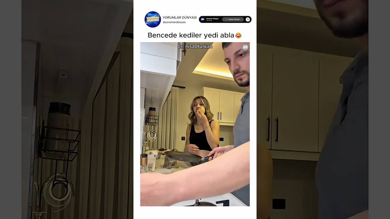 Ben kedinin yediğine inandım şahsen😂