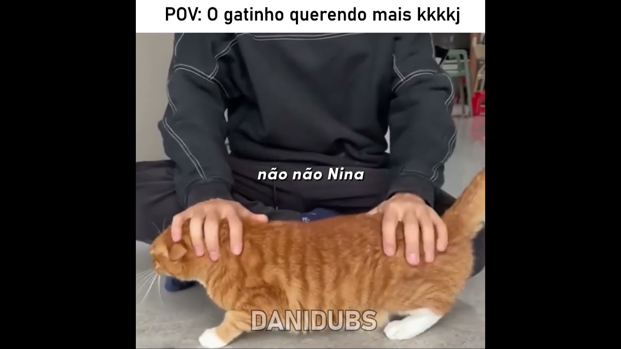 A forma que ele segurou o gato 😅 #edit #humor #memes #fyp #animals