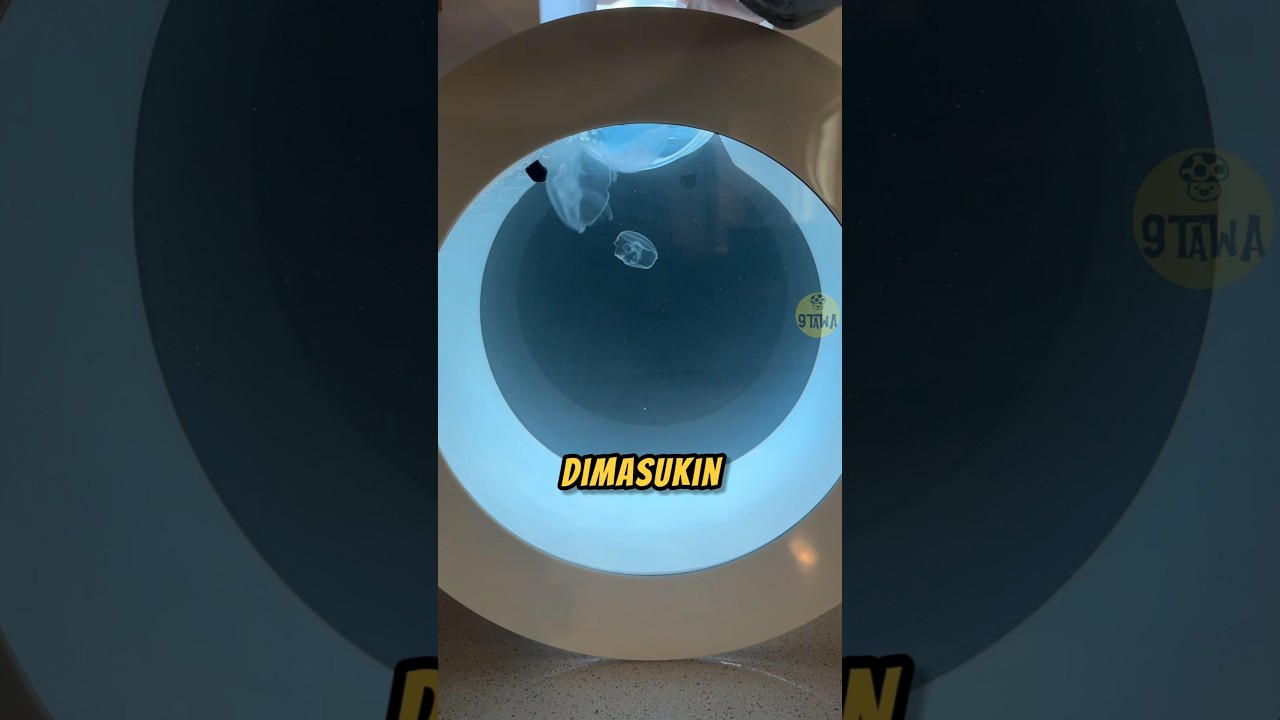 PELIHARA UBUR-UBUR‼️😱 #uburubur #hewan #videoviral