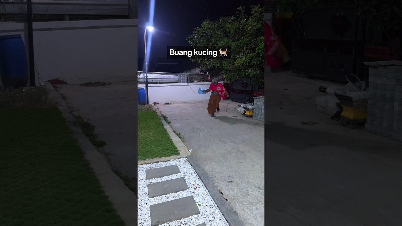 Hampir aja kucingku di buang 😼 #videolucu #cat #kucing #funnycat #funnyvideo #funny #kucinglucu