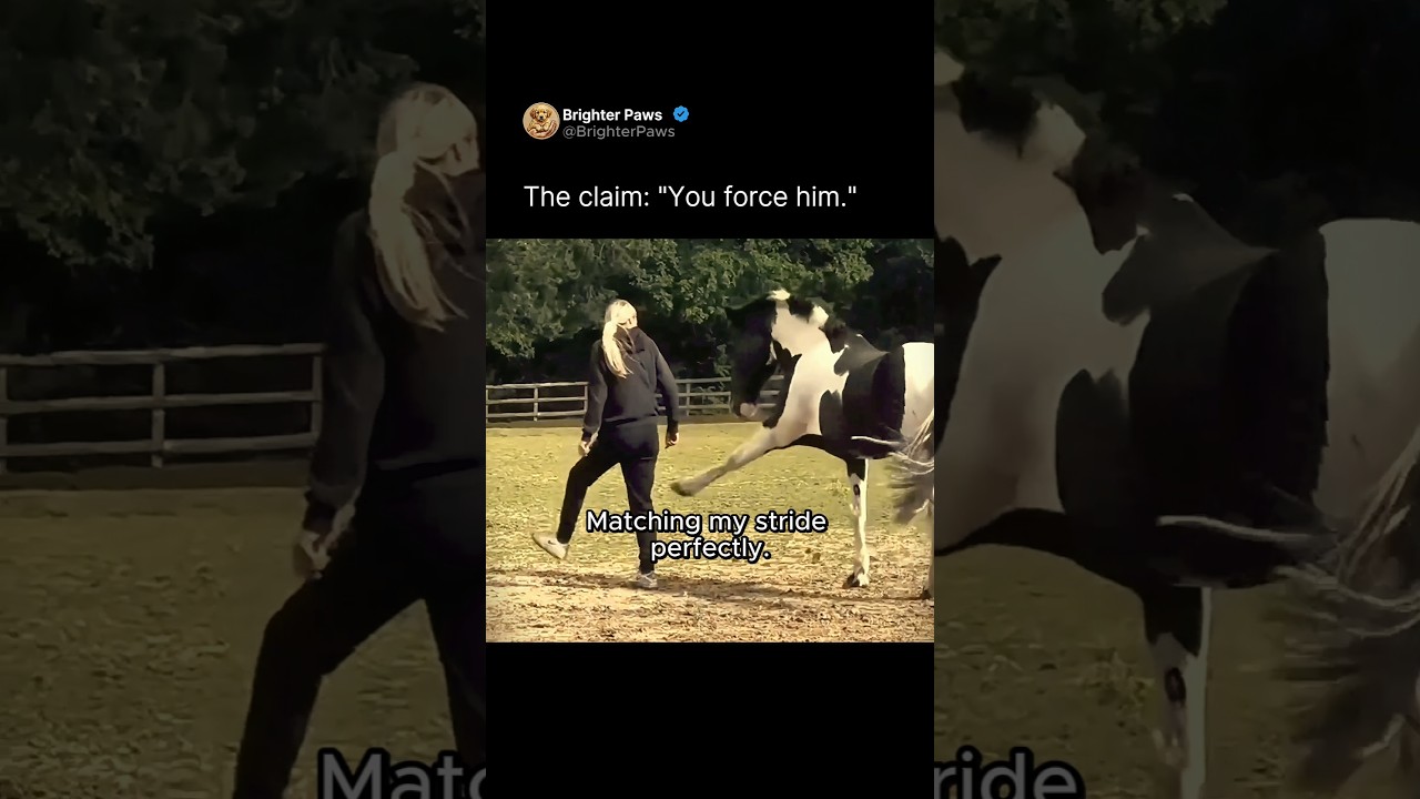 Watch them say I forced my horse into this 🐴
