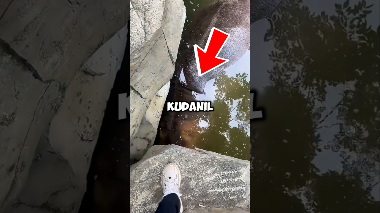 Kuda Nil Raksasa Ini Ngambek Gara-Gara Di-Prank Pemiliknya! 🦛💔🍉