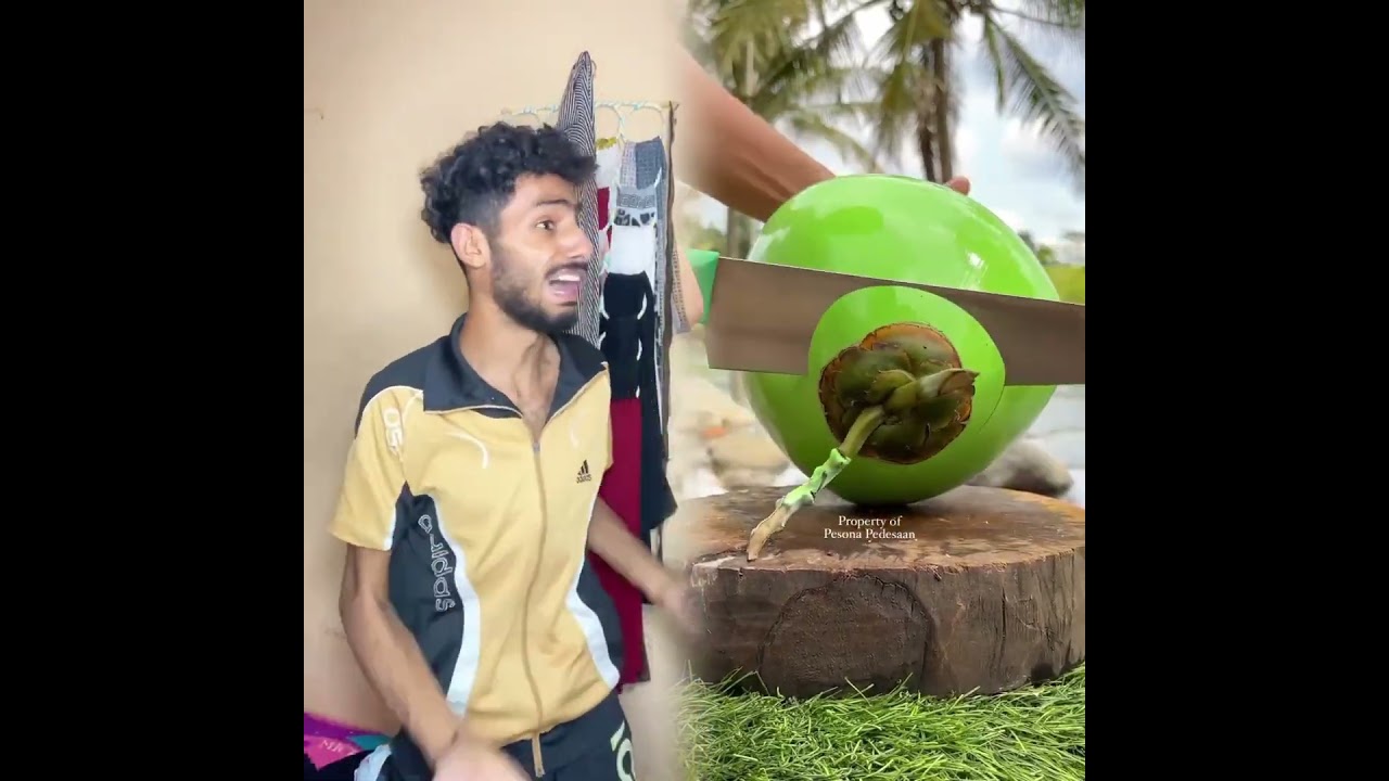 كل جديد ع انستا لما اخوك الصغير يجيب كتكيت علشان يربيها#احمد_تيكا