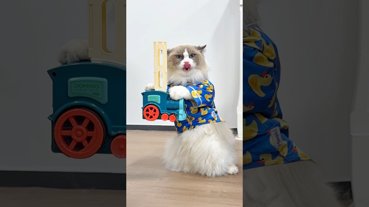 Puff saved the day! #thatlittlepuff #puffmademebuy