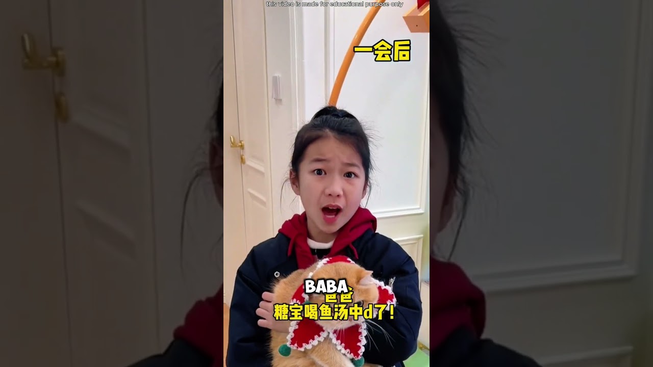 Kedi akvaryumun içindekileri içti… Büyük hata!