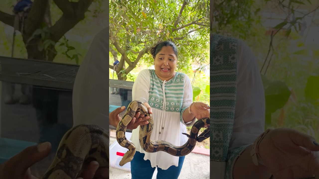 Mee kosam Raw footage #richakka #ytshorts #explore #ShopsyLoot