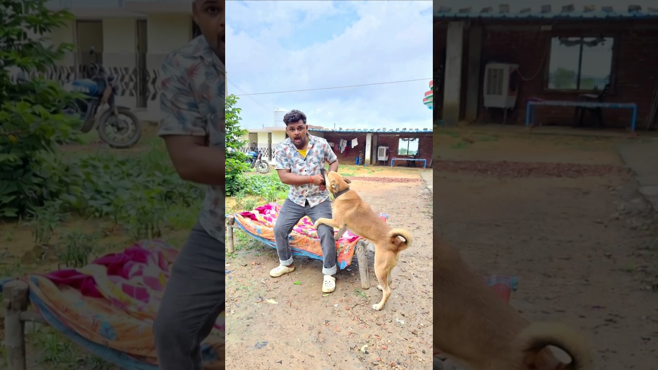 saari duniya jalaa dunga 😭 #shorts #shortsvideo #status #viralshorts #viralvideo