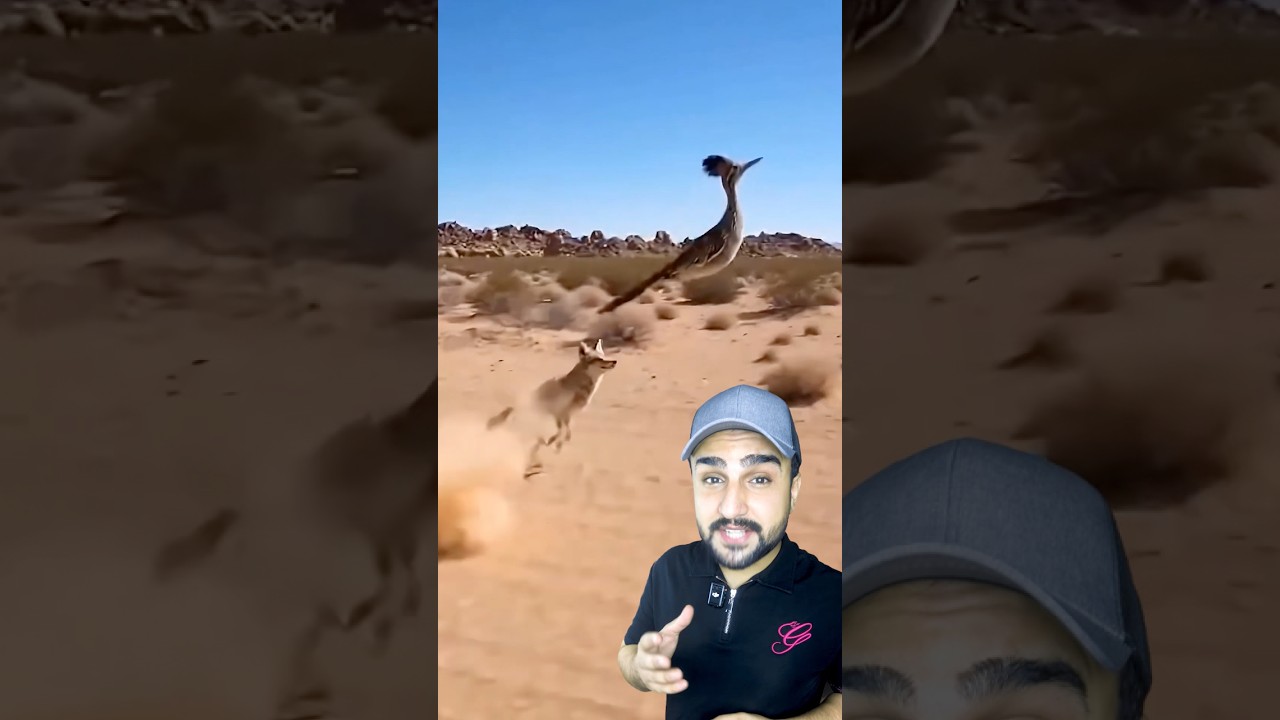 لا يعرف الخوف ويقف وجهاً لوجه أمام أخطر المفترسات بكل ثقة!