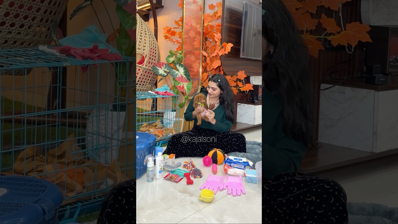 Cash के बहुत सारे सामान🥳🤣 #youtubeshorts #shorts #kajalsoni #shortvideo #dog @K@Kajalsoni_vlogs
