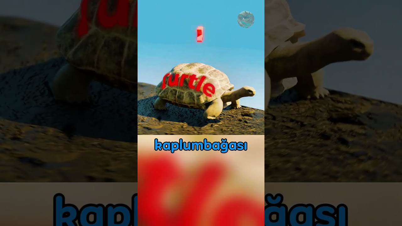 Kaplumbağayı Kurtardığını Sandı Ama..!😱🐢🌊