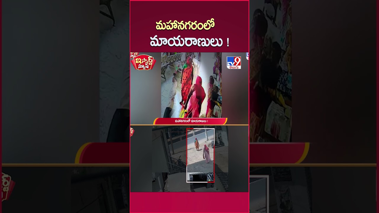 iSmart News :మహానగరంలో మాయరాణులు ! | Jagtial  - TV9