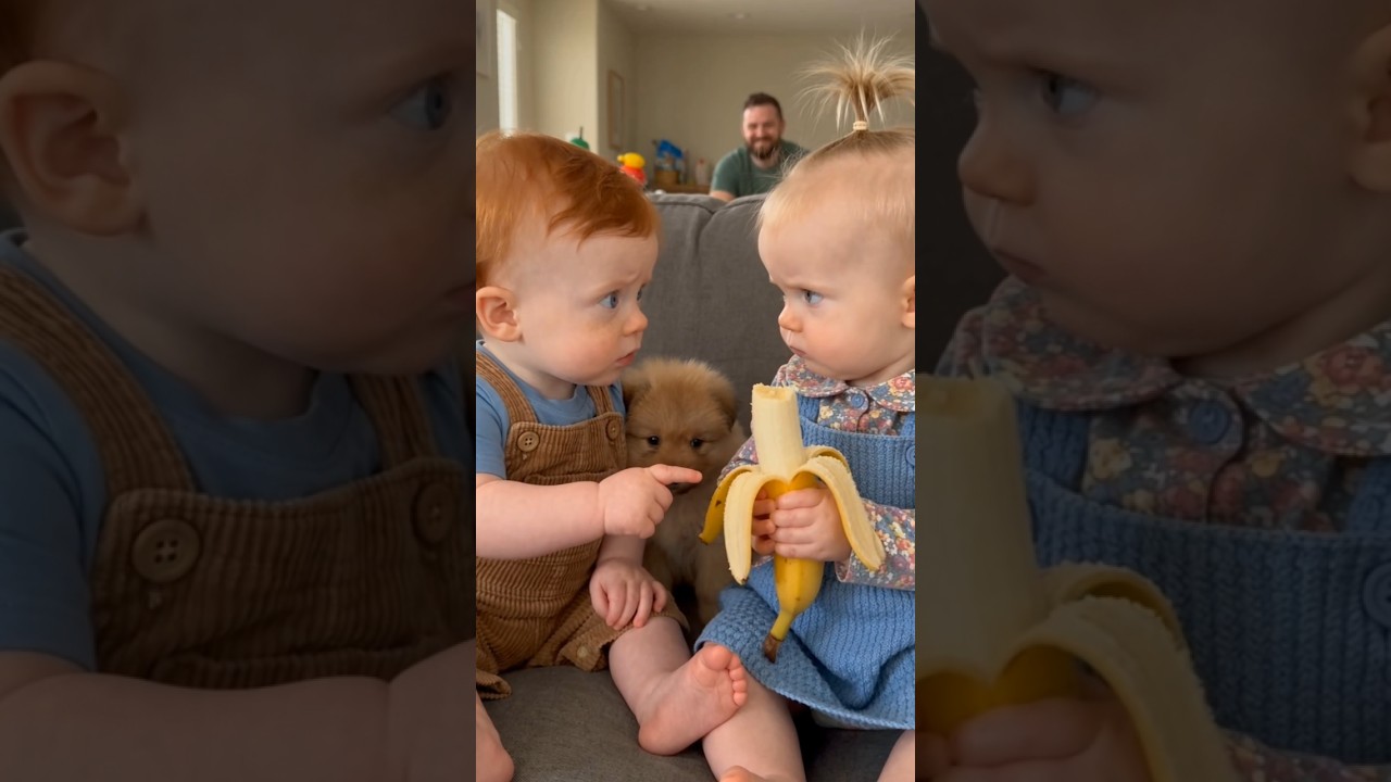 These Toddlers Were Having a Serious Argument 😂🐶 #Shorts #FunnyBabies #ToddlerFunny #CuteBabies