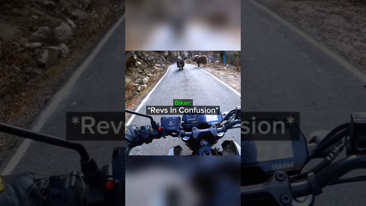 Biker rethinks his life decisions💀