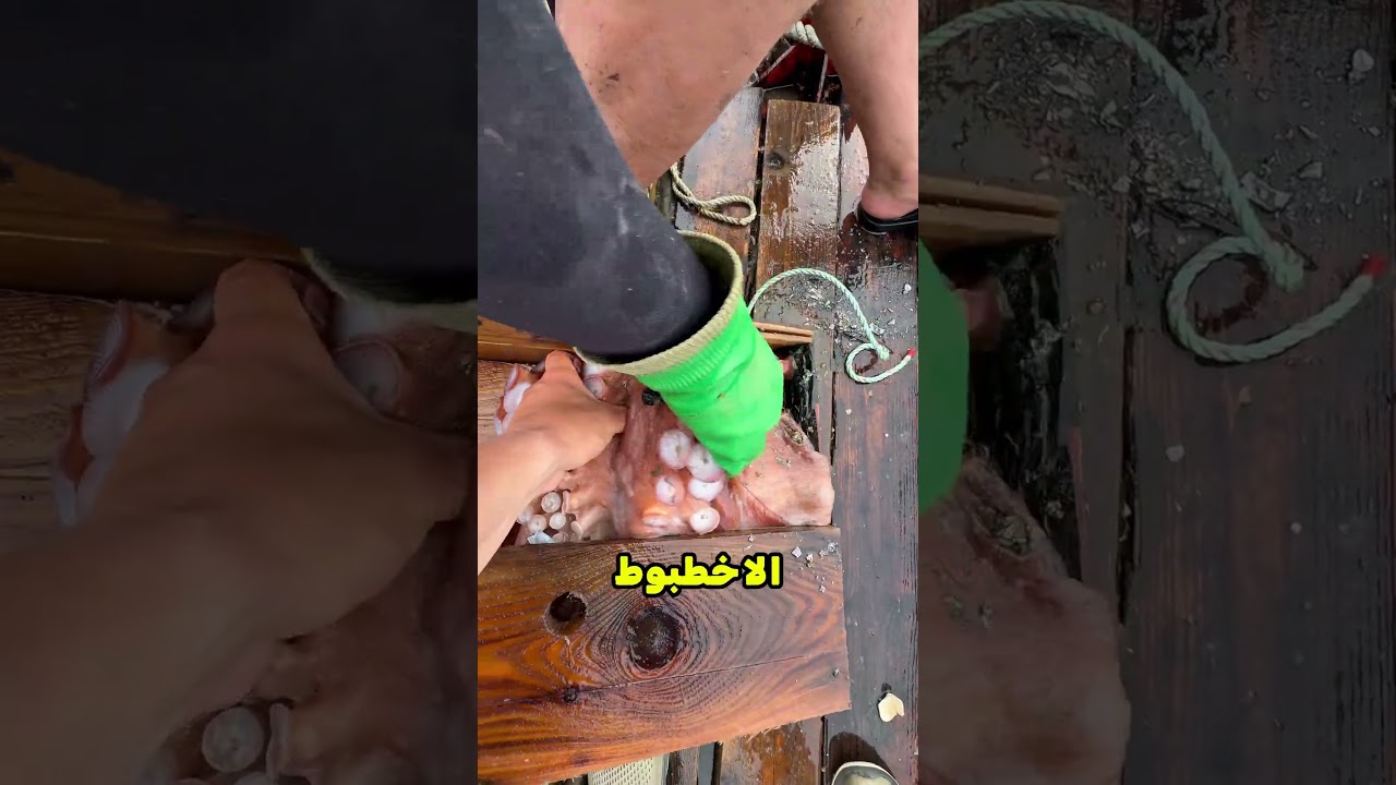الصندوق كان فيه حاجة بتتحرك 😳! #shorts