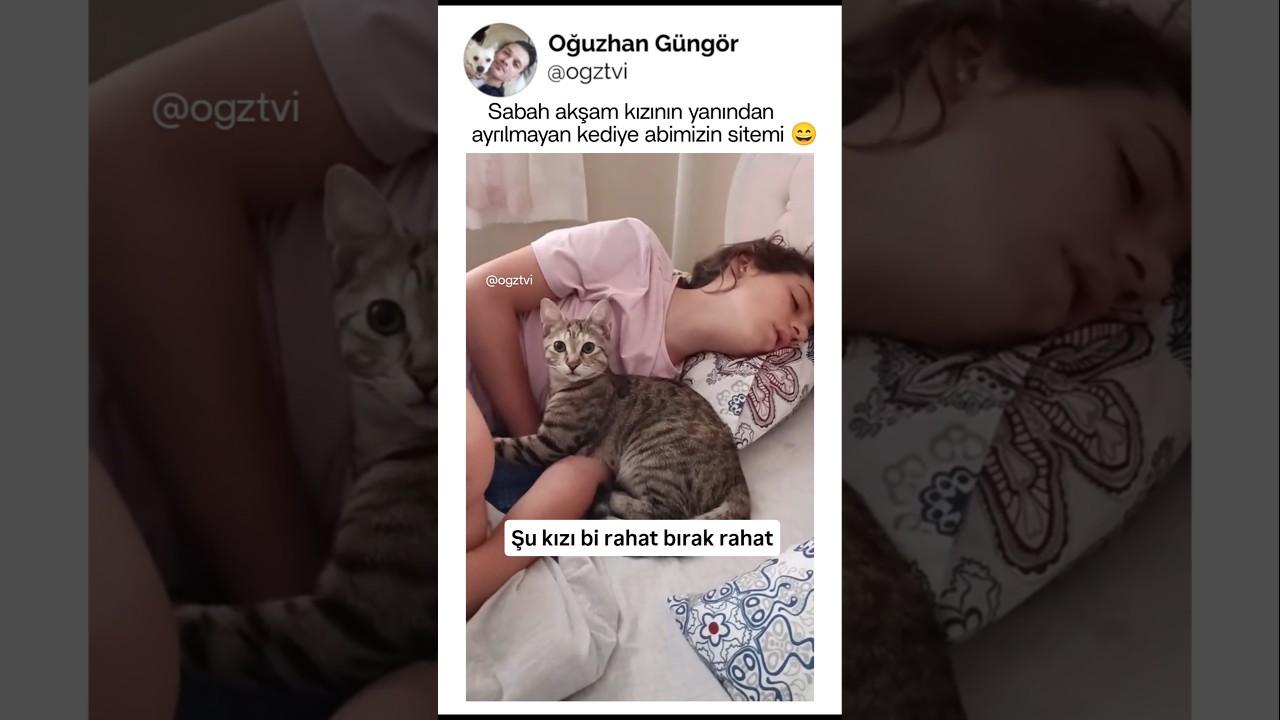 Kızının yanından ayrılmayan kediye abimizin sitemi