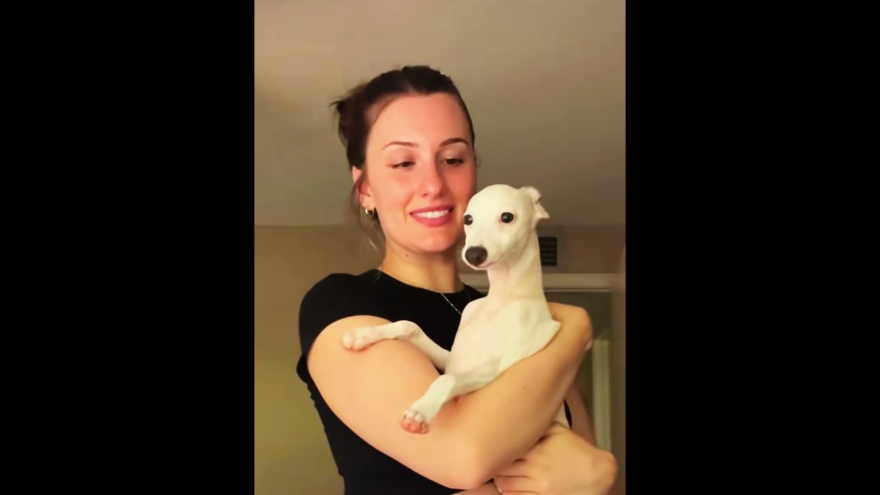 Esse cachorro tem o bocejo mais fofo do mundo 😂❤️