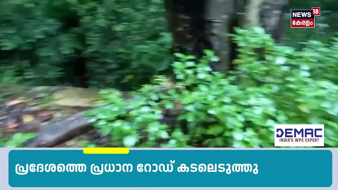 വിഴിഞ്ഞത്ത് ശക്തമായ മഴയിൽ ശക്തമായ മഴയിൽ വള്ളം മുങ്ങി , രണ്ടുപേരെ കാണാനില്ല  | Kerala Rain Alert|N18S