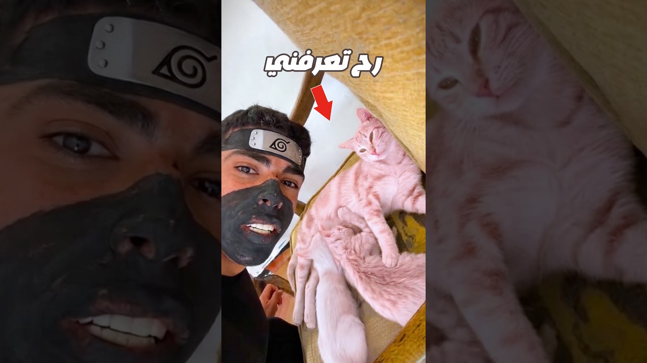 هل لوغيرت شكلي قططي رح تعرفني😱🔥