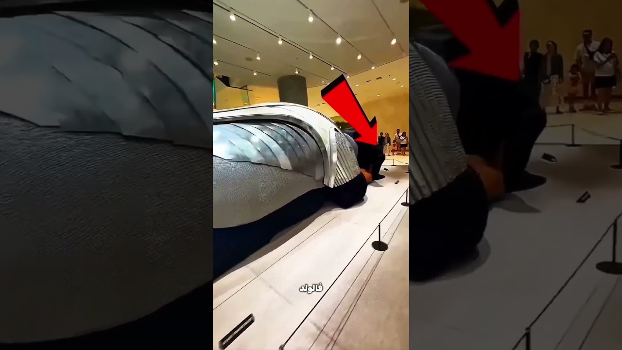 الكلب الحارس ده نايم… لكن محدش بيجرؤ يسرق! 🐶😱
