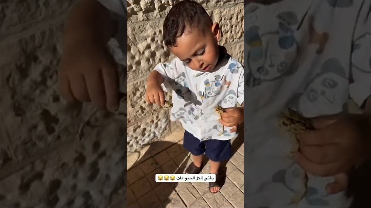 بغني لكل الحيوانات 😂👌🏻