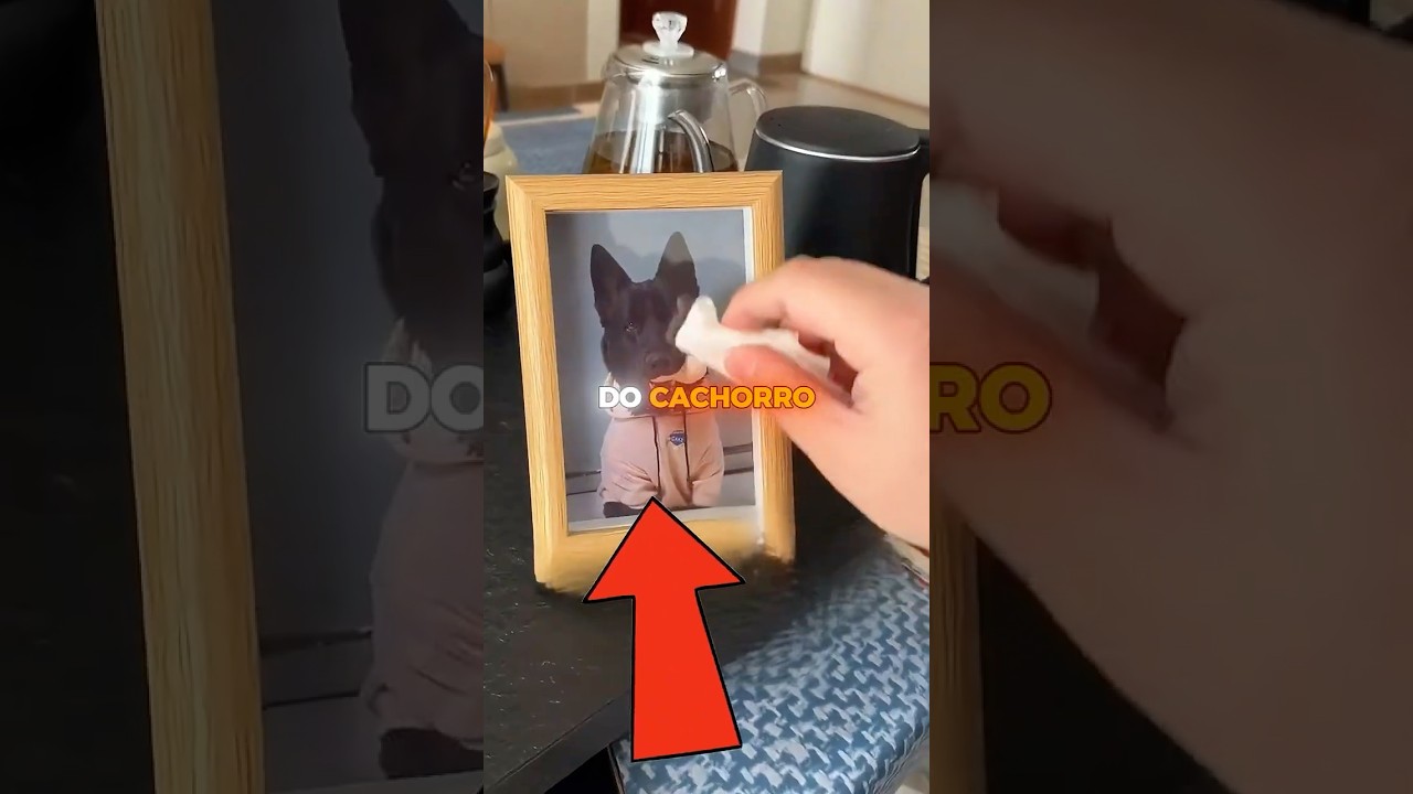 O VULTO NO CORREDOR ERA O QUE ELE MAIS DESEJAVA REENCONTRAR... 😳🐾
