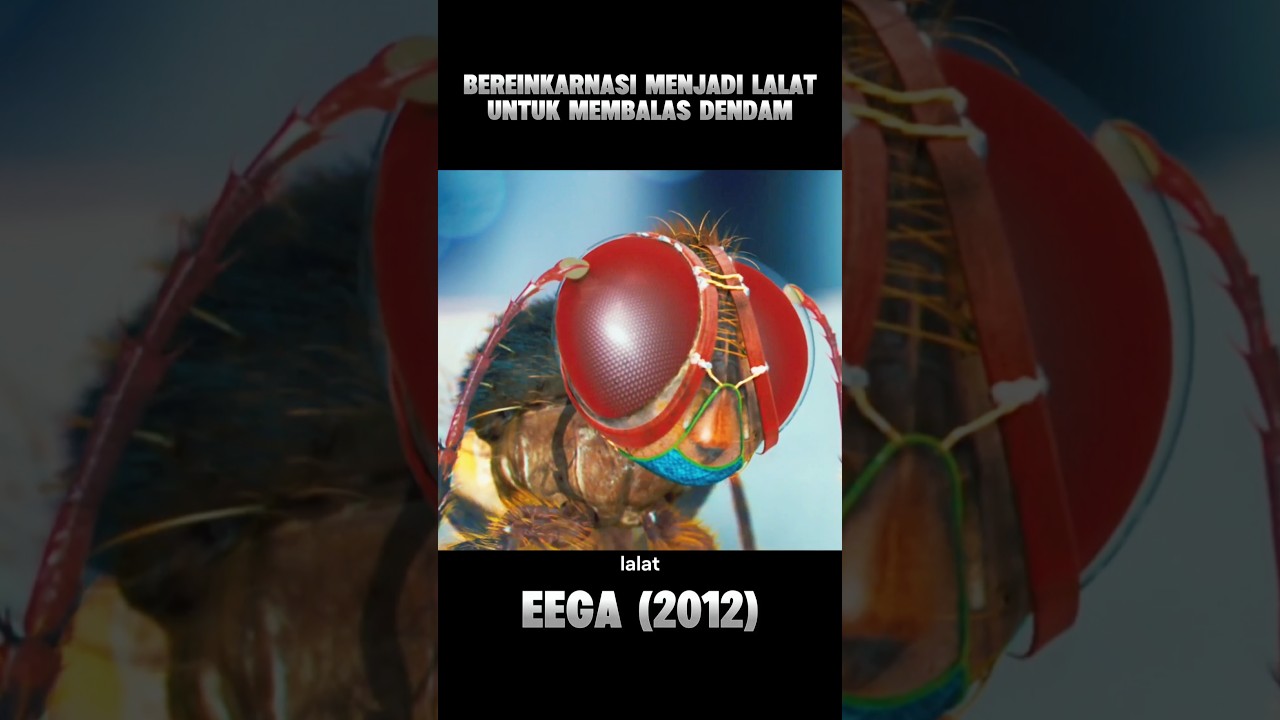 bereinkarnasi jadi lalat untuk balas dendam 🤯