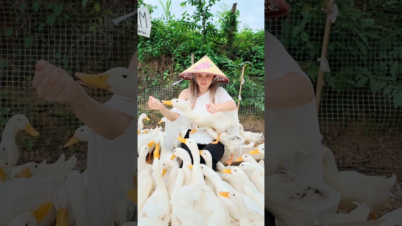 مين يتحداني وجيشي موجود🦆😂