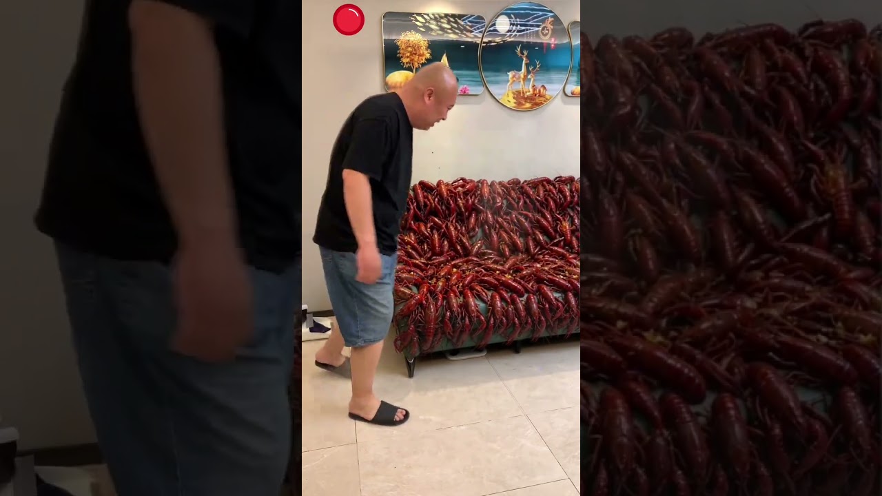 這也太恐怖了吧！怎麼人一下子就被小龍蝦沙發吞沒了😱😱😱 #特效製作請勿當真 #手機特效#劇情需要請勿模仿 #剪映#