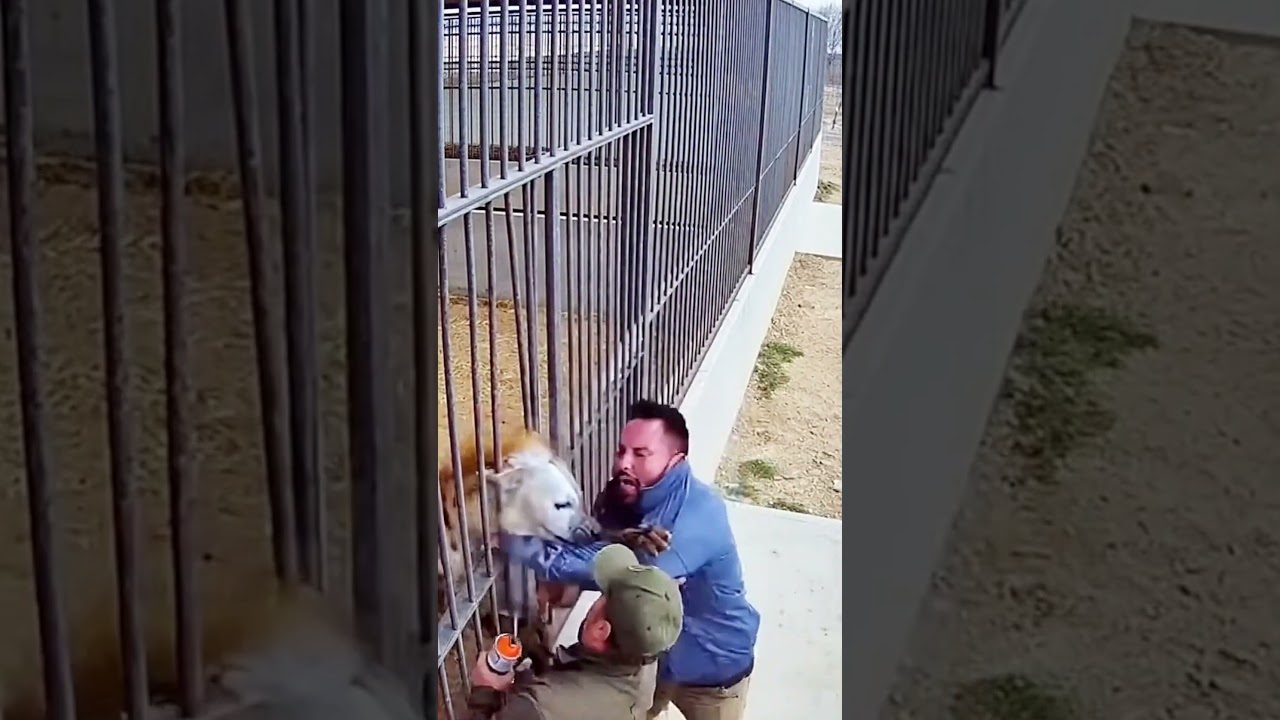 حين يشتد الشدّ ويزداد الخطر يظهر الحفيظ ليحمي الأرواح #ytshorts #shorts