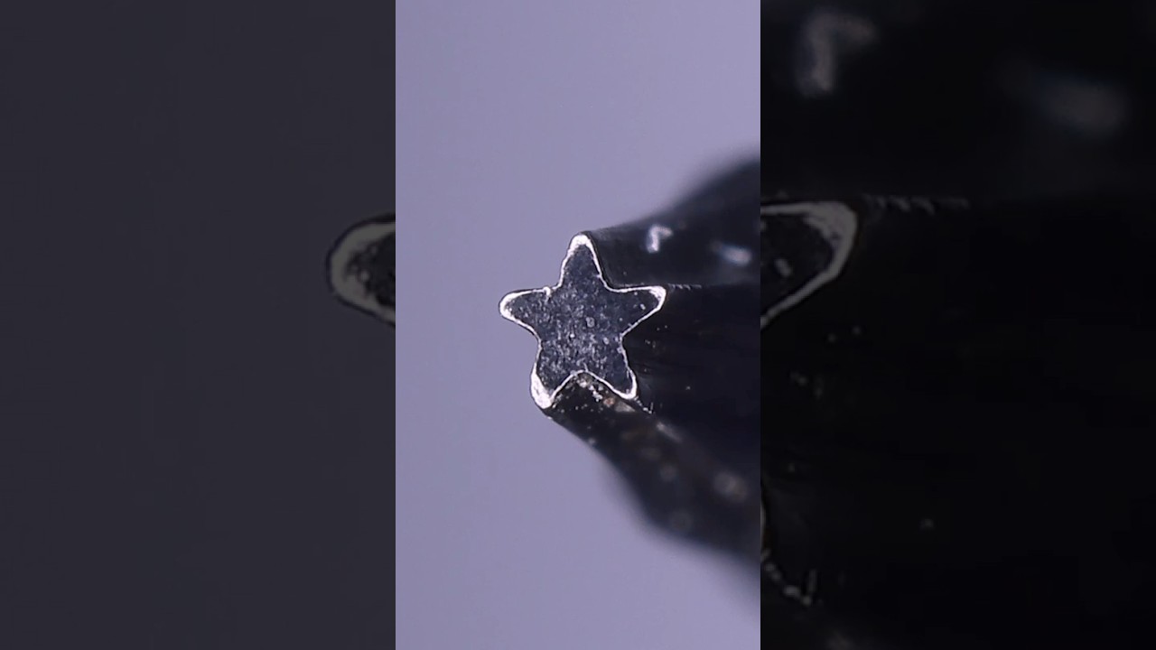 P2 Pentalobe Screwdriver and Screw