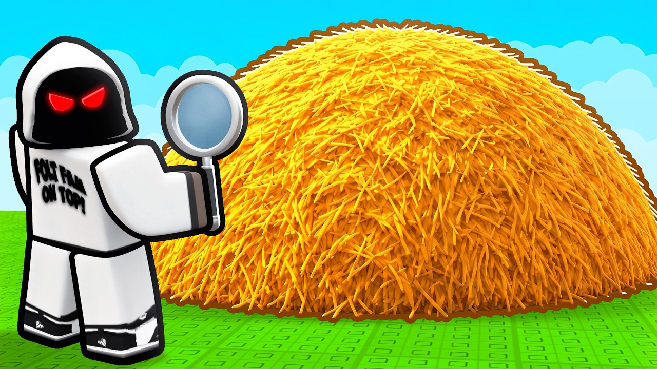 ROBLOX SEARCH FOR THE NEEDLE..