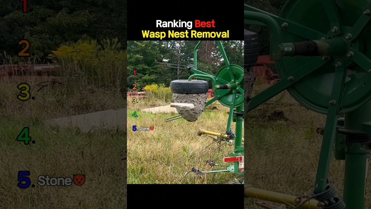 Ranking The Best Wasp Nest Removal Moments 2