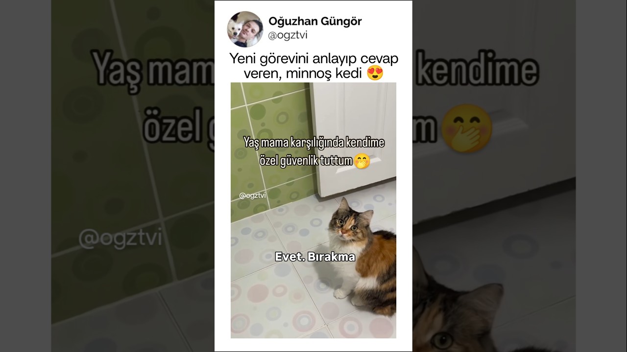 Kuş uçurtmayan, özel güvenlik