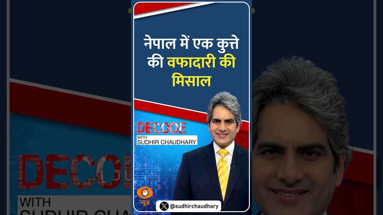#Decode | नेपाल में एक कुत्ते की वफादारी की मिसाल | Sudhir Chaudhary | #Shorts