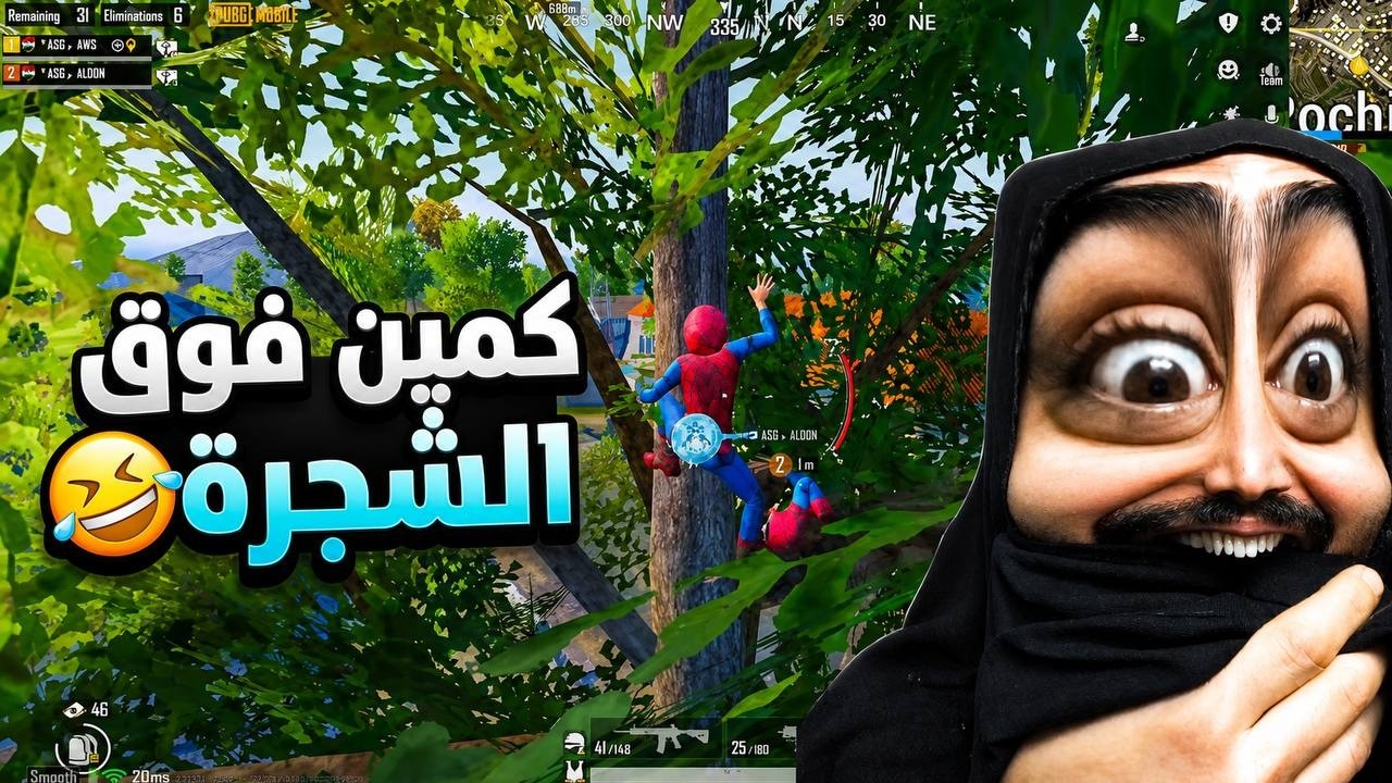 سوينة كمين اني وجنطل وصعدنة فوق الشجرة ضحك مو طبيعي😂ببجي موبايل