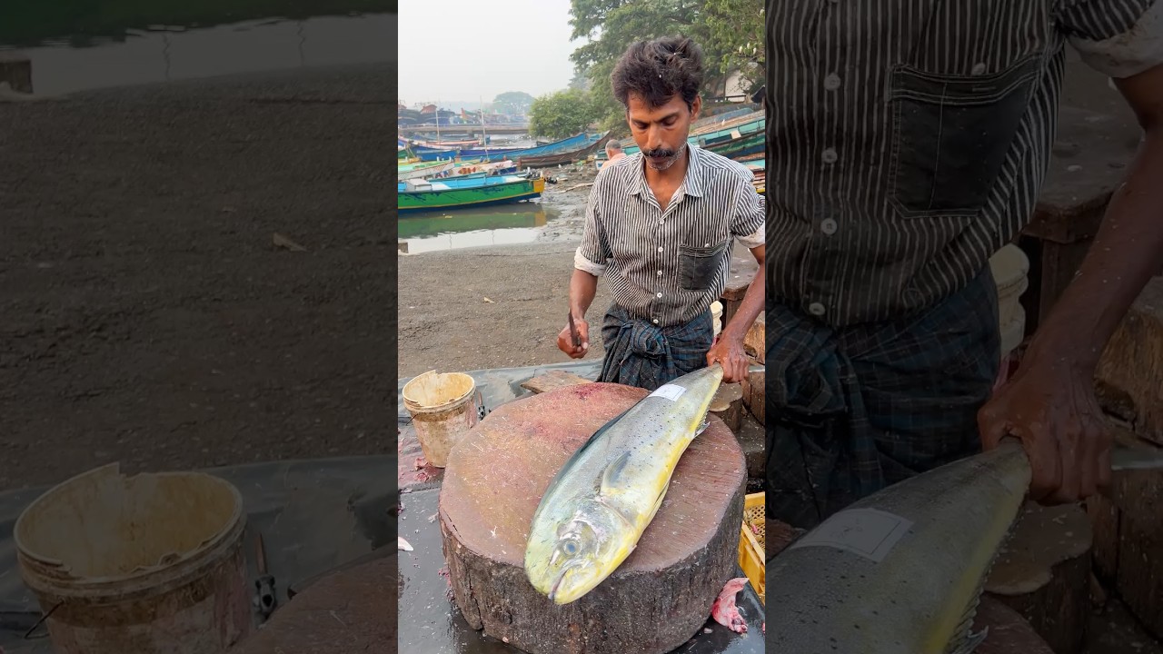 Amazing Fish cutting skill Vibe short #vibe #fishcutting #youtubeshorts