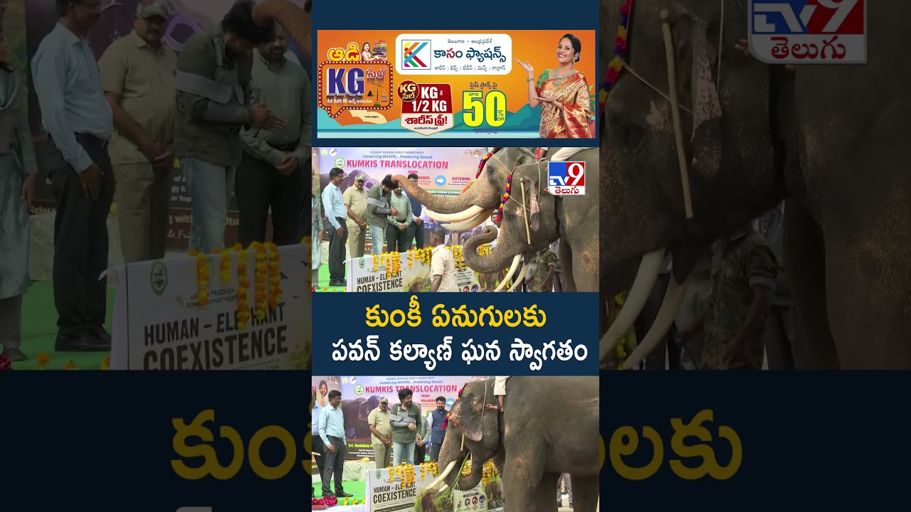 AP Deputy CM Pawan Kalyan : కుంకీ ఏనుగులకు పవన్‌ కల్యాణ్‌ ఘన స్వాగతం - TV9