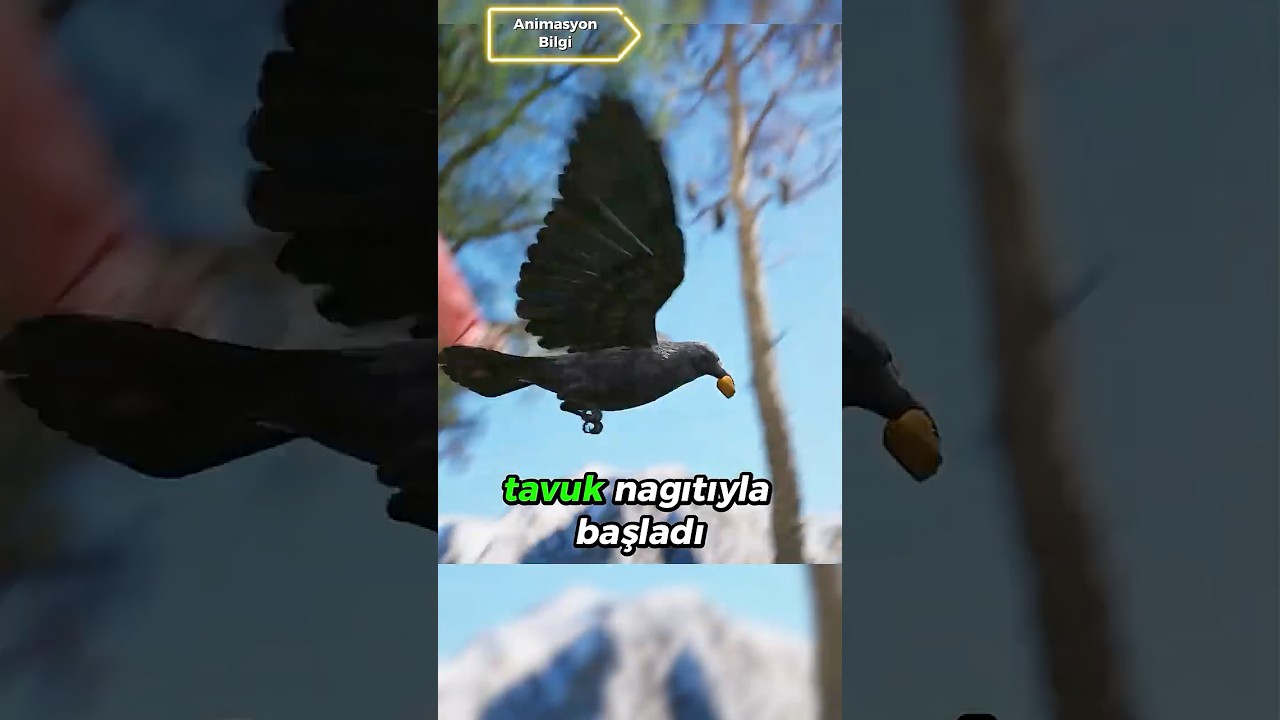 Kargaları Beslersen Ne Olur?