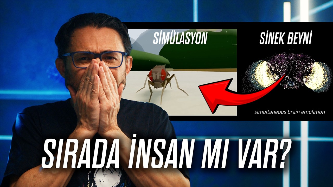 Sinek Beynini Bilgisayara Yüklediler (Ve Çalıştı)