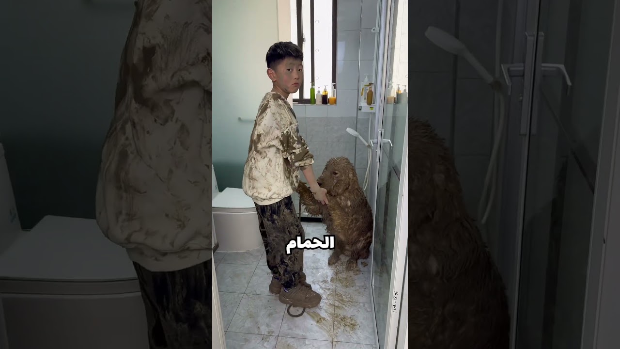 حمَّم كلبه كالملوك! 😲