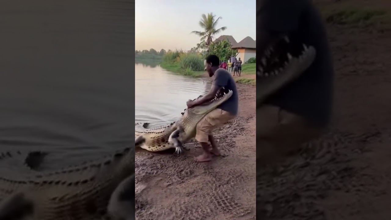 Everyone Thought He’d Be Lunch… Then This Happened
