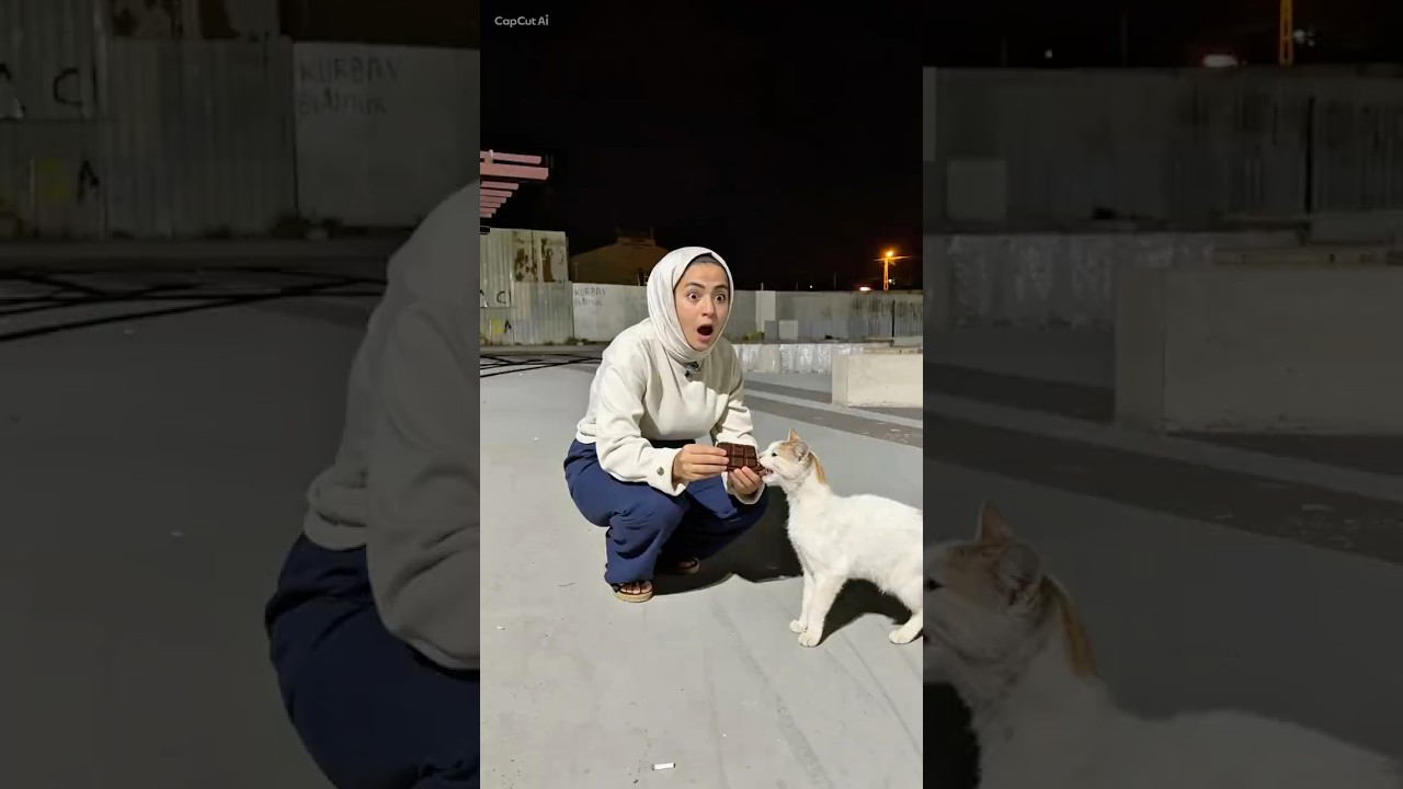 Kedi aburcubur yer mi#shorts #viralshorts #trending #global #foryou